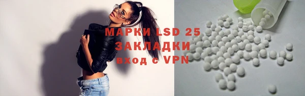 хмурый Алексин