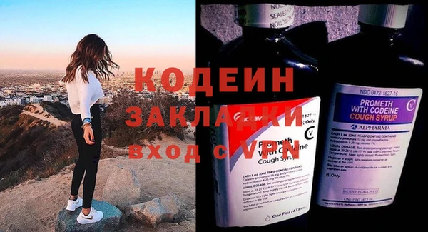 хмурый Алексин