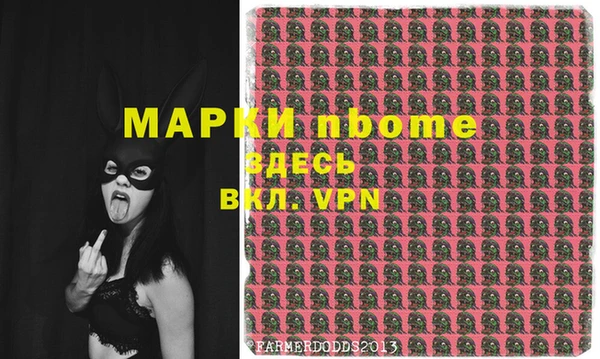 хмурый Алексин