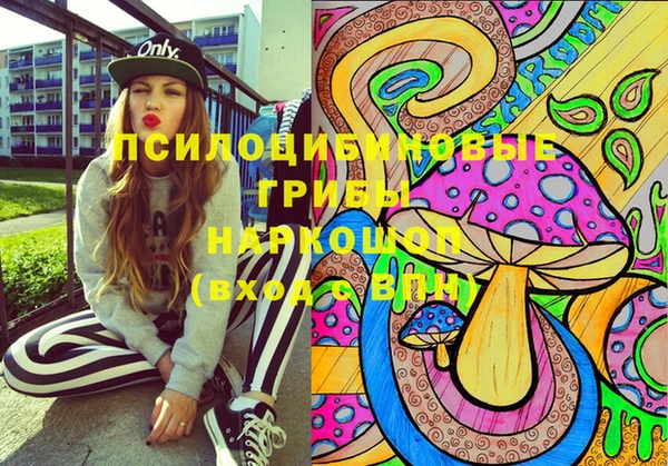 мдпв Алзамай
