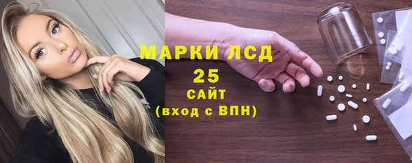 хмурый Алексин